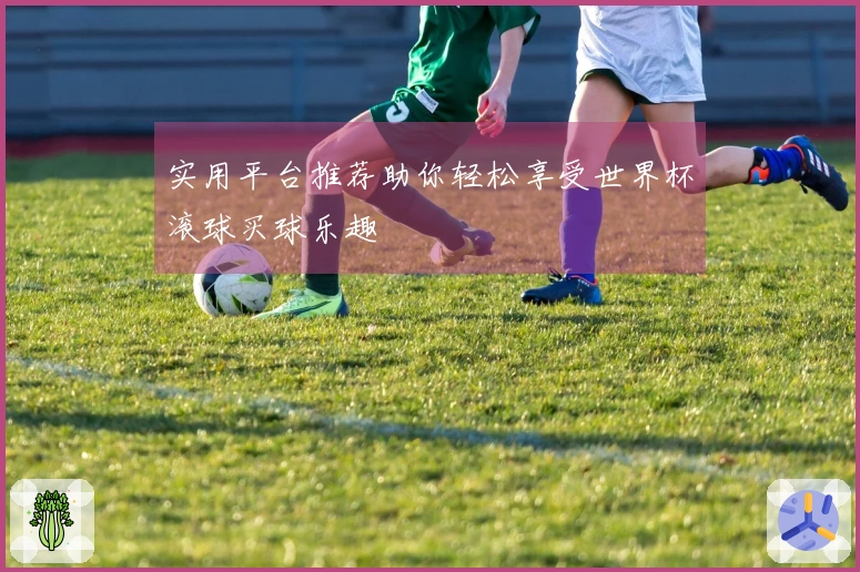 实用平台推荐助你轻松享受世界杯滚球买球乐趣