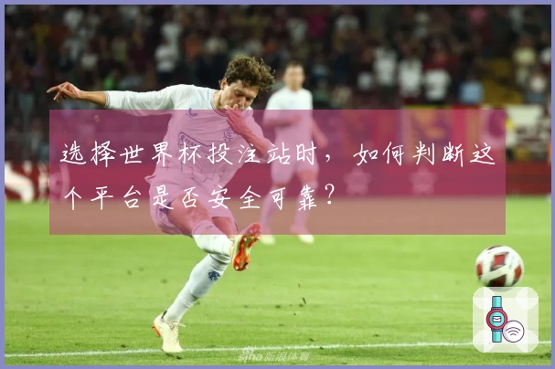 选择世界杯投注站时，如何判断这个平台是否安全可靠？
